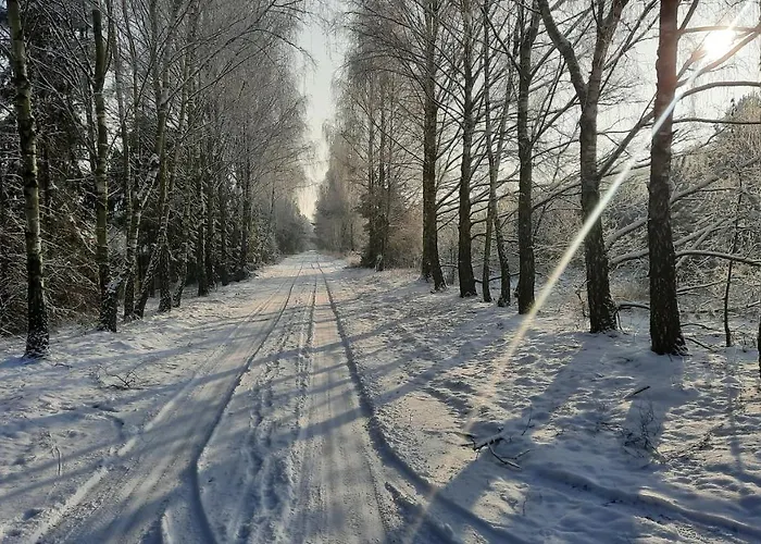 Domek Caloroczny Nad Jeziorem Budzislawskim, Wielkopolska Na Wynajem