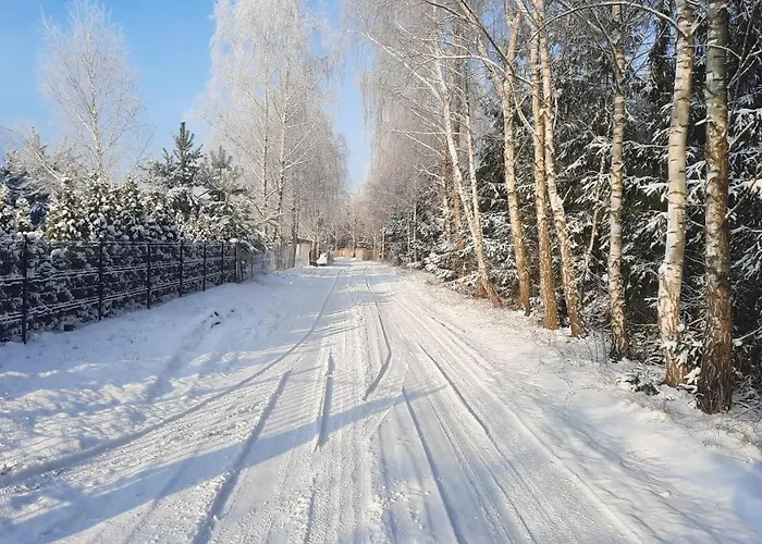 Domek Caloroczny Nad Jeziorem Budzislawskim, Wielkopolska Na Wynajem