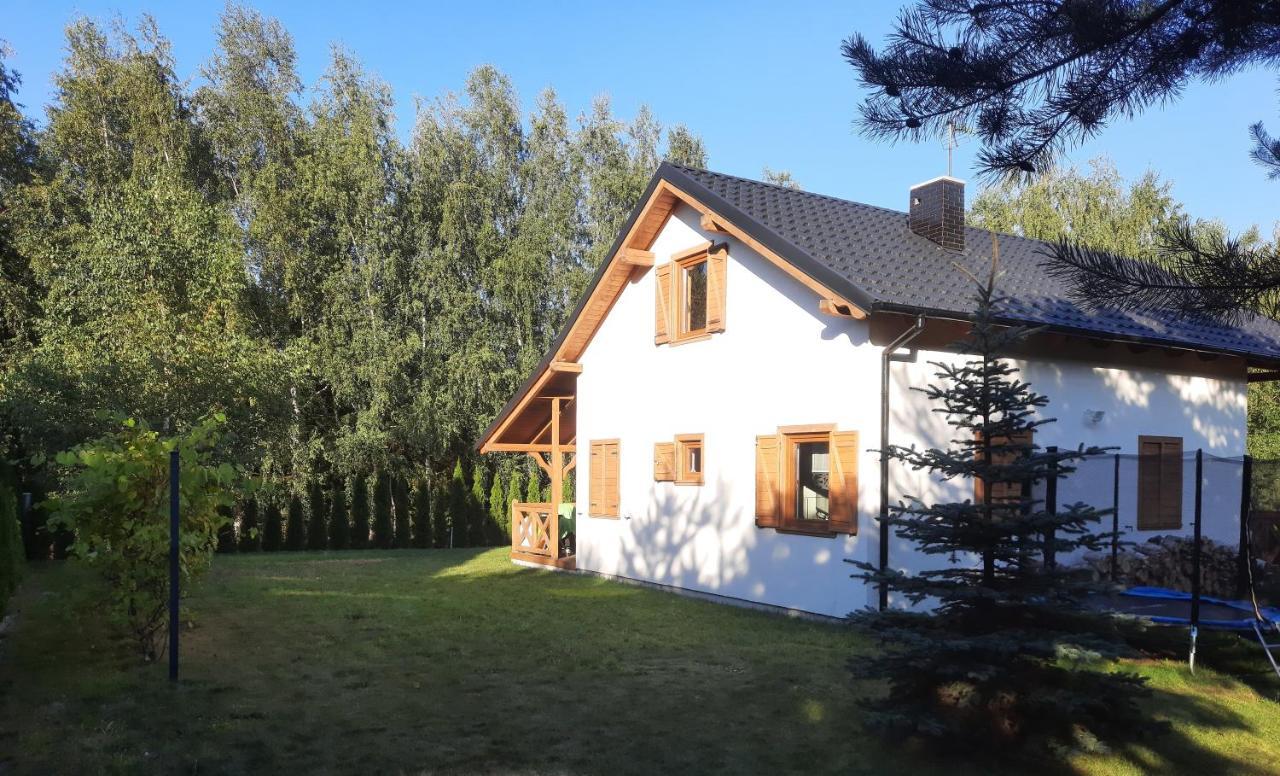 Caloroczny Nad Jeziorem Budzislawskim, Wielkopolska Na Wynajem Anastazewo
