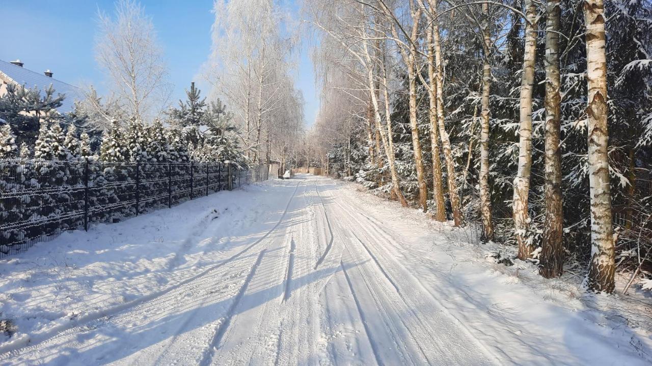 Apartament Całoroczny Nad Jeziorem Budzislawskim, Wielkopolska Na Wynajem
